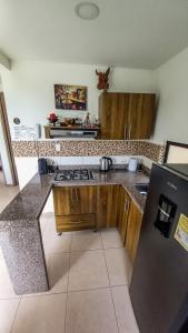 a kitchen with a stove and a counter top at Apartamento turistico diana in La Tebaida