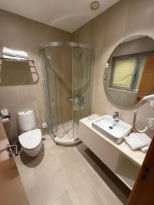 a bathroom with a shower and a toilet and a sink at Hotel Albergaria Borges in Chaves +45 photos