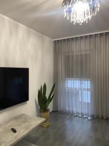 a living room with a television and a potted plant at CentralPark in Kostrzyn nad Odrą