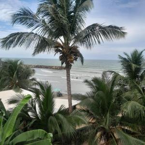 a view of a beach with palm trees and the ocean at Villa del coco Hospedajes in Arboletes