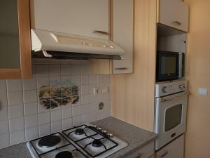 a kitchen with a stove and a microwave at MaMontagne in Albertville +3 photos