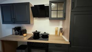 a kitchen counter with two pots on a stove at Aaron27 in Meißen