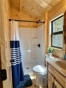 a bathroom with a toilet and a shower and a sink at Oceanfront Sunset View Cabin in Milbridge +26 photos