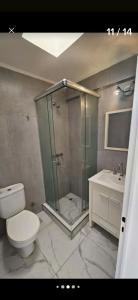 a bathroom with a shower and a toilet and a sink at Apartamentos del campus in Manzone +21 photos