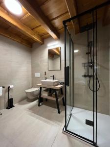 a bathroom with a glass shower and a sink at Apartmán La Šiška - Věžička in Velké Karlovice +19 photos