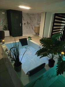 a swimming pool with two potted plants in a room at Suite 11 in Tourcoing
