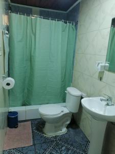 a bathroom with a toilet and a sink and a shower at Casa Lo Herrera in Isla de Maipo