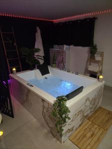 a large bath tub with at Suite 11 in Tourcoing
