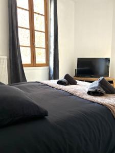 a bedroom with two beds and a flat screen tv at La Cachette Urbaine in Albi