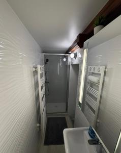 a small bathroom with a sink and a shower at Geneve Gaillard studio in Gaillard