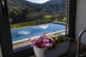 a view of a swimming pool from a window at Casa Da Eira Caramulo in Varzielas