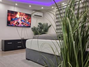 a living room with a couch and a tv on a wall at Jacuzzi apartments Istočno Sarajevo in Sarajevo