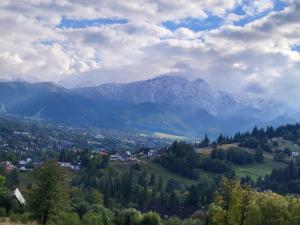 a view of a valley with snow capped mountains at Limba in Ząb