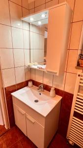 a bathroom with a sink and a mirror at Samobor Old Town Studio by the River in Samobor