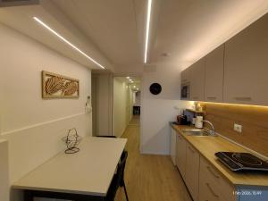 a kitchen with a sink and a counter top at Turistica Via Po 7 in Legnago