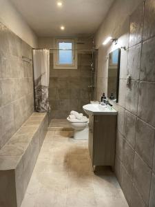 a bathroom with a toilet and a sink and a shower at Casa Diatsenta in Bogdanátika +37 photos