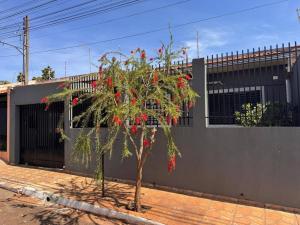 a tree with red flowers in front of a building at Casa espaçosa com ar em todos os quartos in Ourinhos