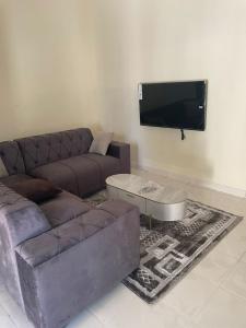 a living room with a couch and a flat screen tv at Nova apartments in Amdalai