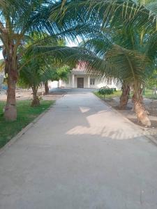 a driveway with palm trees in front of a building at Tranquil Stay Tunereng in Tujering