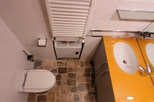 a bathroom with a white toilet and a sink at Chalet di design vista Pelmo - Chalet dei Brisi in Borca di Cadore +24 photos