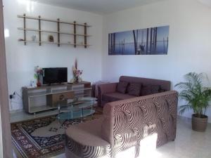 TV a/nebo společenská místnost v ubytování Happy Villa