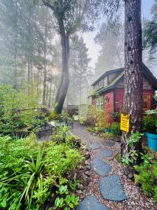a walkway leading to a house in the woods at Magnolia Petal Accommodation in Salt Spring Island