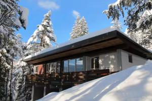 a cabin in the snow with snow covered trees at Chalet di design vista Pelmo - Chalet dei Brisi in Borca di Cadore