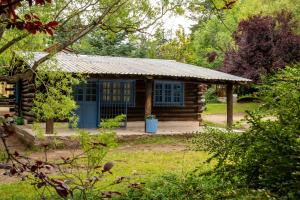 a log cabin with a blue door in a yard at Cabañas San Francisco in Potrerillos +34 photos