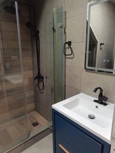 a bathroom with a shower with a sink and a mirror at Casa Jesy in Frutillar