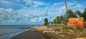 a building on the beach with trees and the ocean at El Castillo in Moñitos