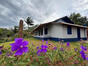 a house with purple flowers in front of it at Refúgio Boa Vista in Venda Nova do Imigrante