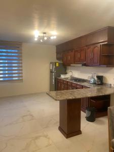 a kitchen with wooden cabinets and a large counter top at Casa Mexiquito in Arandas
