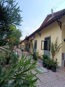 a row of houses with plants in front of them at Tổ Nhím Homestay in Ấp Cái Chuối