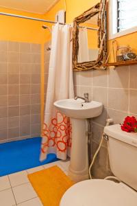 a bathroom with a sink and a toilet and a mirror at Kurma Eco Beach Lodge in Mambajao