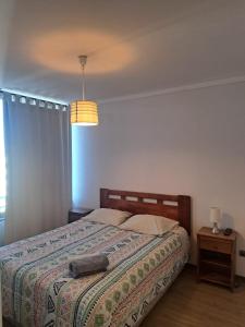 a bedroom with a bed with a blanket and a lamp at Agradable Dpto Calama Centro in Calama