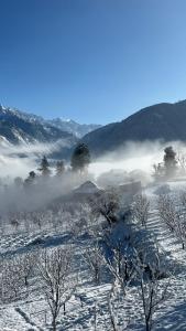 ein schneebedecktes Feld mit Bäumen und Nebel in der Ferne in der Unterkunft DADU'S Cafe in Sainj