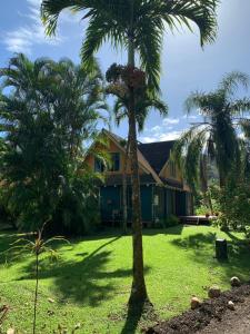 a house with two palm trees in the yard at Sea Turtle Lodge and Villas in Rarotonga