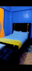 a bed in a room with a blue background at LJ Homes in Kisii