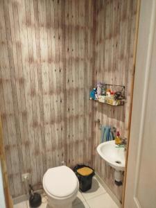 a bathroom with a toilet and a sink at Appartement Neuf Raismes in Raismes