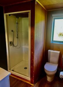 a bathroom with a shower and a toilet at Barn Apartment in Earnscleugh +8 photos