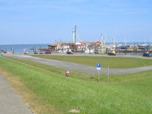 a person standing in the grass next to a road at up ` Achterdeck in Dornum