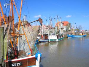 a group of boats docked in a harbor at up ` Achterdeck in Dornum +5 photos