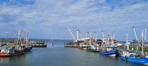 a group of boats docked in a harbor at up ` Achterdeck in Dornum