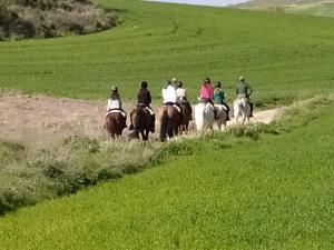 a group of people riding horses in a field at El Pontifical in Los Santos de la Humosa