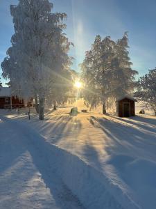 a snow covered field with trees and a building at Lapland Heritage Villa in Ranua