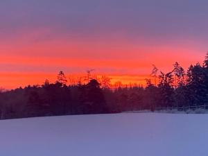 a sunset over a snow covered field with trees at FeWo Landblick in Hemau