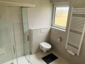 a bathroom with a toilet and a glass shower at FeWo Landblick in Hemau