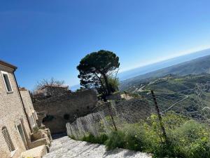 a tree on the side of a wall with a view at Casa Bel Duomo in Gerace
