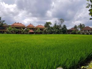 a field of green grass with houses in the background at Sri Aksata Ubud Resort in Ubud