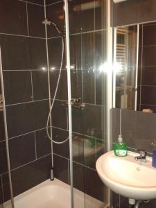 a bathroom with a shower and a sink at Pension Levi in Berlin